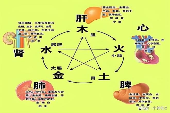 ҽɭΪθøСЧ(ͼ2)